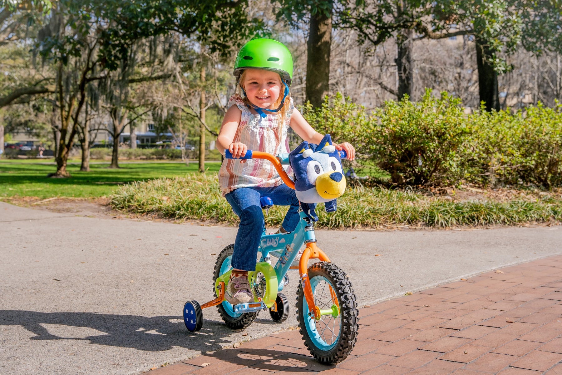 Bluey 12 - Inch Kids BMX Bike with Training Wheels, Plush Bag, Steel Frame, Coaster Brake, Ages 3 - 5 - Product image 9