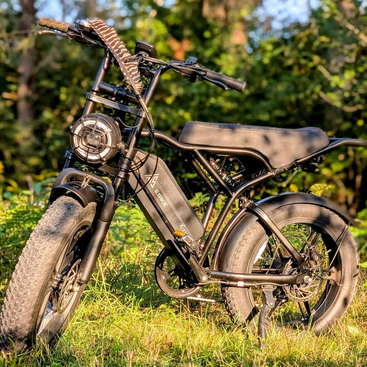 Electric Bike for Adults, 750W Peak 1500W Motor, 20"x4" Fat Tire E Bicycle, Hydraulic Disc Brakes - Product image 14